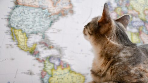 Keeping tabs on attitudes to vet care around the world